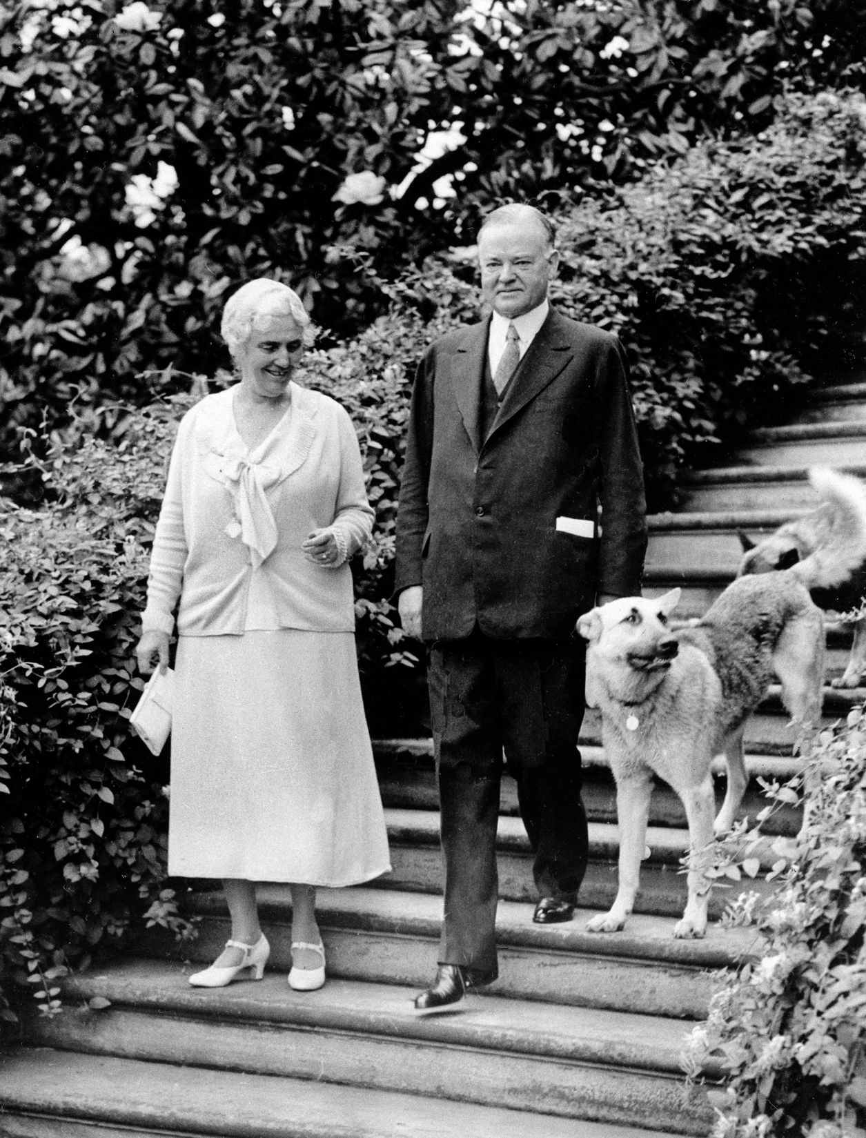 1932, President Hoover's dogs, names unknown